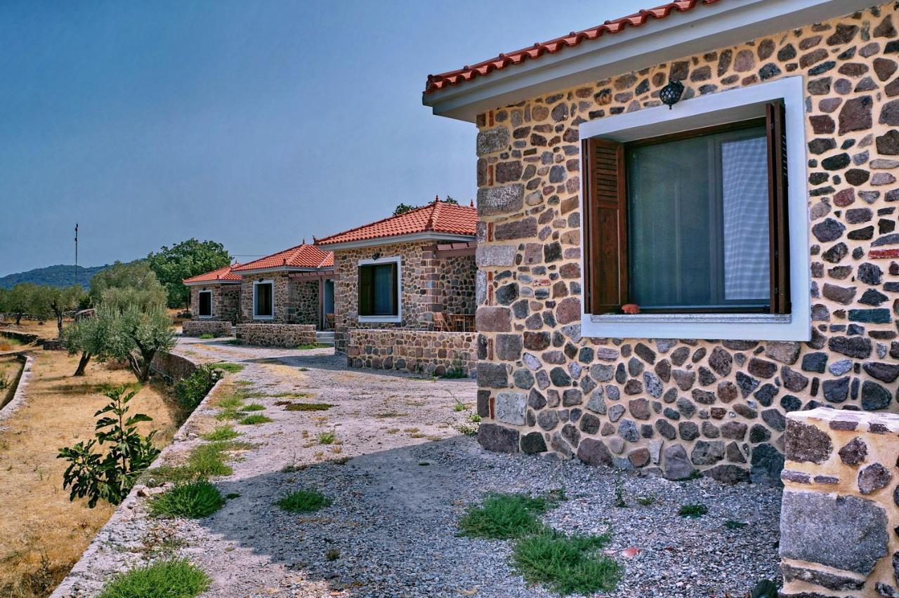 Holiday home Ktima Kiourelioti Skala Sykamineas