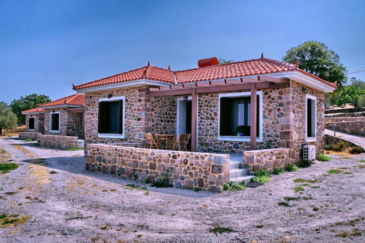Ktima Kiourelioti *