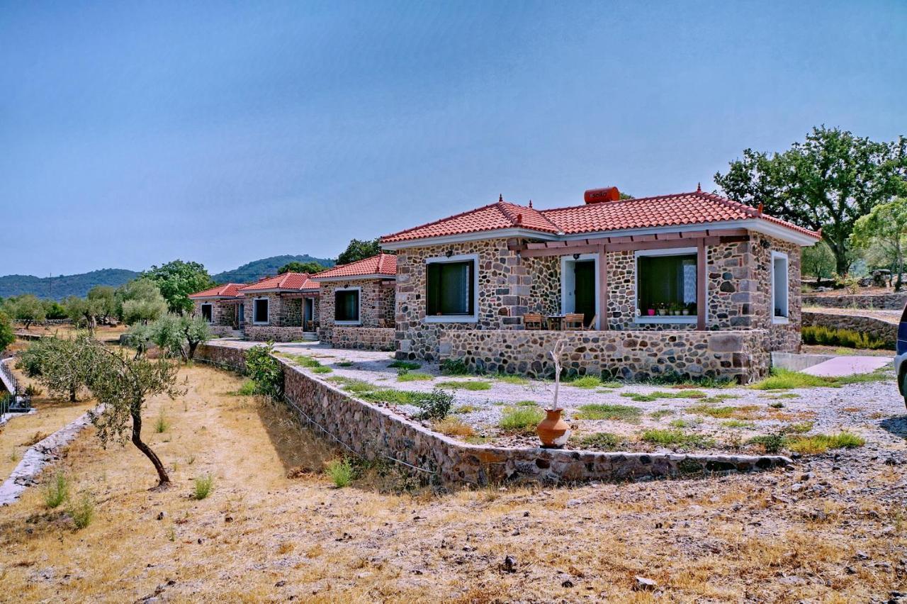 Ktima Kiourelioti Holiday home