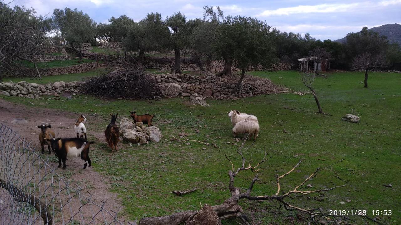 Holiday home Ktima Kiourelioti *